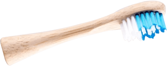 tandenborstel gemaakt van bamboe